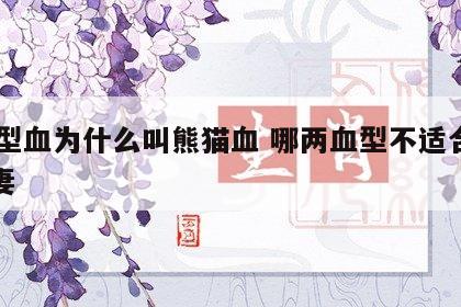 ab型血为什么叫熊猫血 哪两血型不适合做夫妻