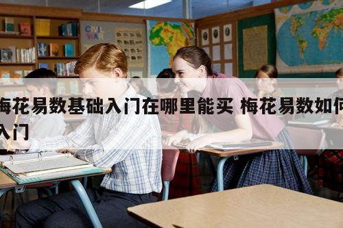 梅花易数基础入门在哪里能买 梅花易数如何入门