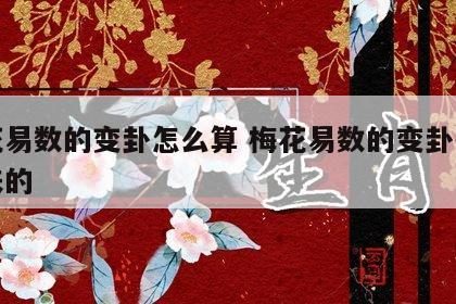 梅花易数的变卦怎么算 梅花易数的变卦怎么出来的