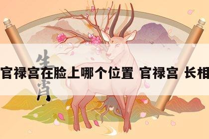 官禄宫在脸上哪个位置 官禄宫 长相