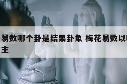 梅花易数哪个卦是结果卦象 梅花易数以哪个卦为主
