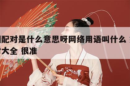 婚姻配对是什么意思呀网络用语叫什么 婚姻配对大全 很准