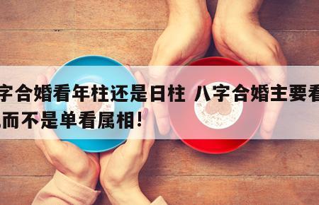 八字合婚看年柱还是日柱 八字合婚主要看日柱,而不是单看属相!