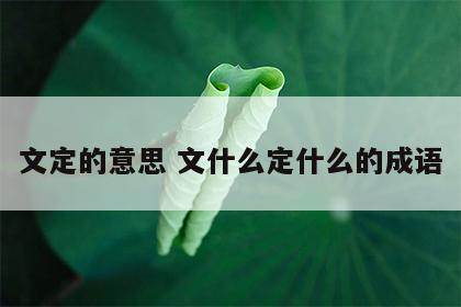文定的意思 文什么定什么的成语