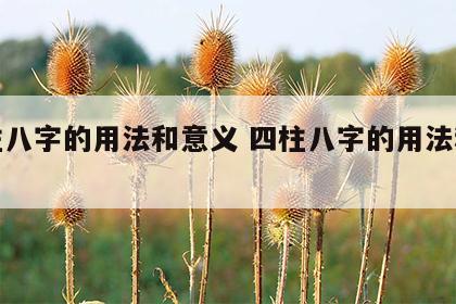 四柱八字的用法和意义 四柱八字的用法和意义
