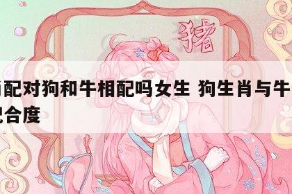 生肖配对狗和牛相配吗女生 狗生肖与牛生肖的配合度