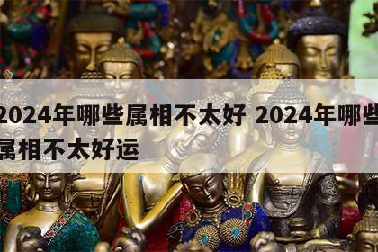 2024年哪些属相不太好 2024年哪些属相不太好运