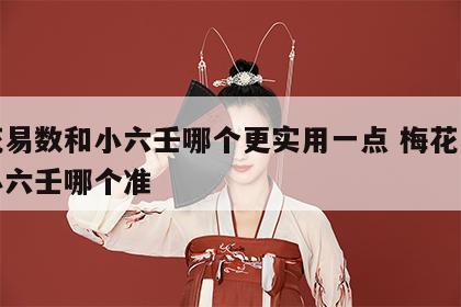 梅花易数和小六壬哪个更实用一点 梅花易数和小六壬哪个准