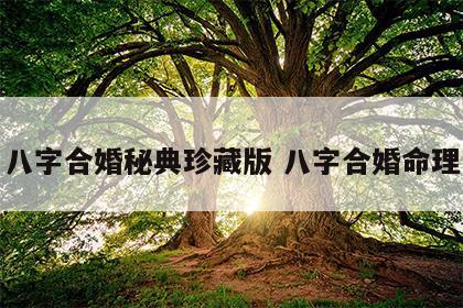 八字合婚秘典珍藏版 八字合婚命理