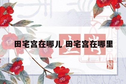 田宅宫在哪儿 田宅宫在哪里