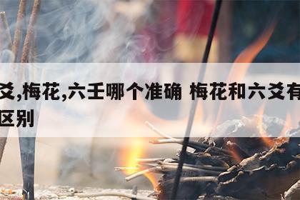 六爻,梅花,六壬哪个准确 梅花和六爻有什么区别