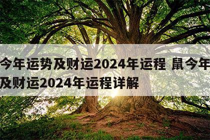 鼠今年运势及财运2024年运程 鼠今年运势及财运2024年运程详解