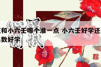 梅花和小六壬哪个准一点 小六壬好学还是梅花易数好学