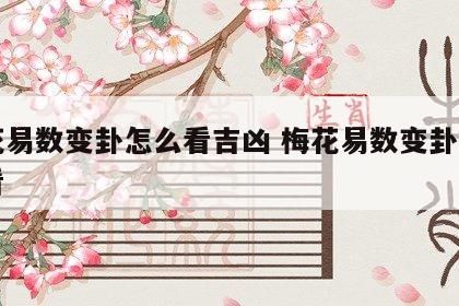 梅花易数变卦怎么看吉凶 梅花易数变卦体用不看