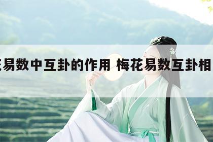 梅花易数中互卦的作用 梅花易数互卦相互作用