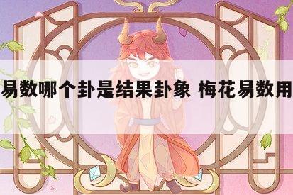 梅花易数哪个卦是结果卦象 梅花易数用什么解卦