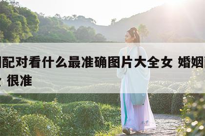 婚姻配对看什么最准确图片大全女 婚姻配对大全 很准