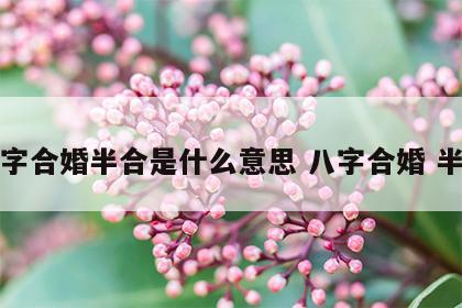 八字合婚半合是什么意思 八字合婚 半合