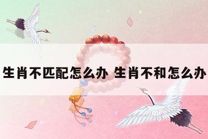生肖不匹配怎么办 生肖不和怎么办