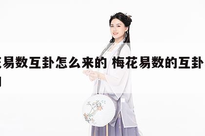 梅花易数互卦怎么来的 梅花易数的互卦怎么来的