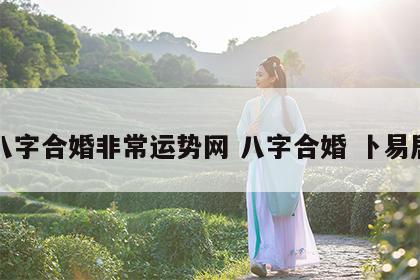 八字合婚非常运势网 八字合婚 卜易居