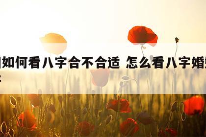 婚姻如何看八字合不合适 怎么看八字婚姻好不好