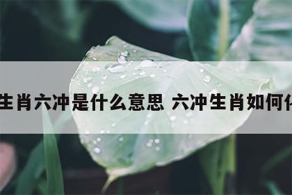 12生肖六冲是什么意思 六冲生肖如何化解