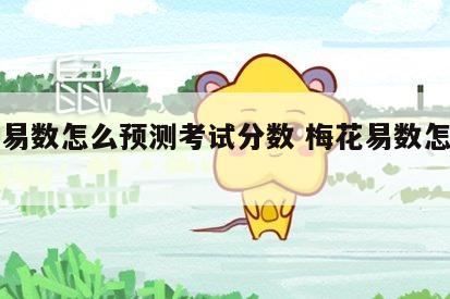 梅花易数怎么预测考试分数 梅花易数怎么看考试