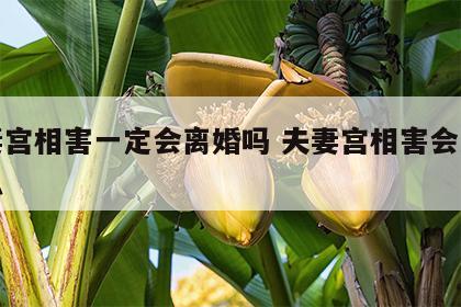 夫妻宫相害一定会离婚吗 夫妻宫相害会发生什么