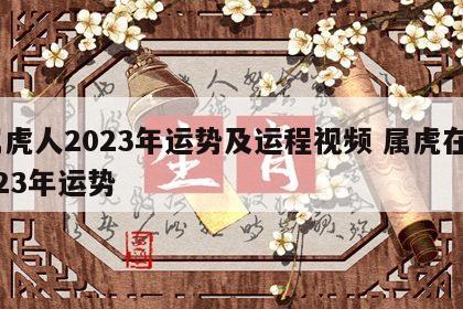 属虎人2023年运势及运程视频 属虎在2023年运势