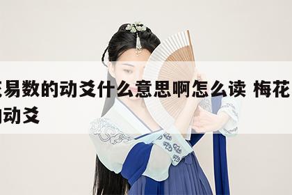 梅花易数的动爻什么意思啊怎么读 梅花易数中的动爻