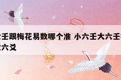 小六壬跟梅花易数哪个准 小六壬大六壬梅花易数六爻