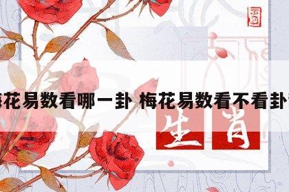 梅花易数看哪一卦 梅花易数看不看卦辞