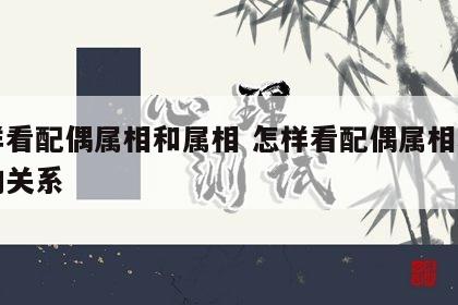 怎样看配偶属相和属相 怎样看配偶属相和属相的关系