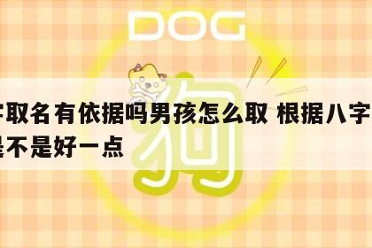 八字取名有依据吗男孩怎么取 根据八字取名字是不是好一点