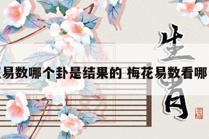 梅花易数哪个卦是结果的 梅花易数看哪一卦