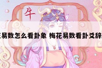梅花易数怎么看卦象 梅花易数看卦爻辞最准
