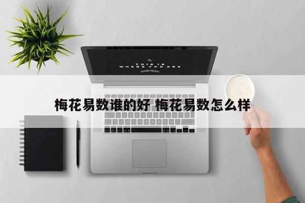 梅花易数谁的好 梅花易数怎么样