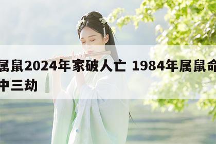 属鼠2024年家破人亡 1984年属鼠命中三劫