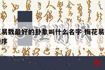 梅花易数最好的卦象叫什么名字 梅花易数排卦顺序
