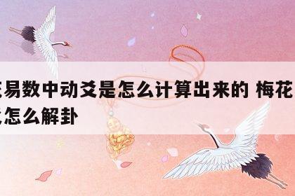 梅花易数中动爻是怎么计算出来的 梅花易数动爻怎么解卦