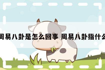 周易八卦是怎么回事 周易八卦指什么