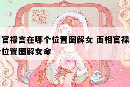 面相官禄宫在哪个位置图解女 面相官禄宫在哪个位置图解女命