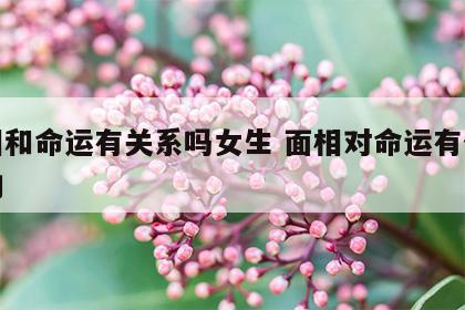 面相和命运有关系吗女生 面相对命运有什么影响