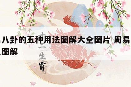 周易八卦的五种用法图解大全图片 周易八卦卦象图解