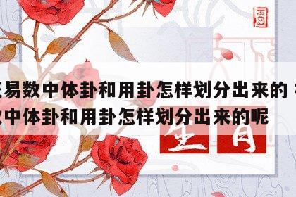 梅花易数中体卦和用卦怎样划分出来的 梅花易数中体卦和用卦怎样划分出来的呢