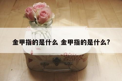 金甲指的是什么 金甲指的是什么?