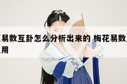 梅花易数互卦怎么分析出来的 梅花易数互卦怎么用