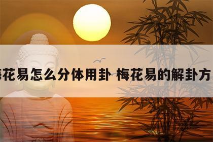 梅花易怎么分体用卦 梅花易的解卦方法