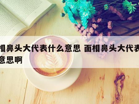 面相鼻头大代表什么意思 面相鼻头大代表什么意思啊